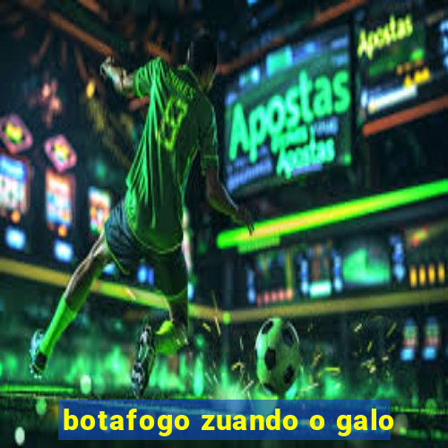 botafogo zuando o galo