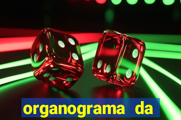 organograma da cacau show