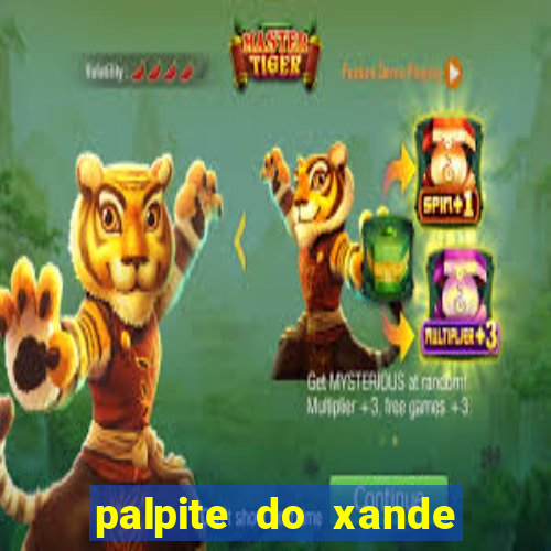palpite do xande de hoje
