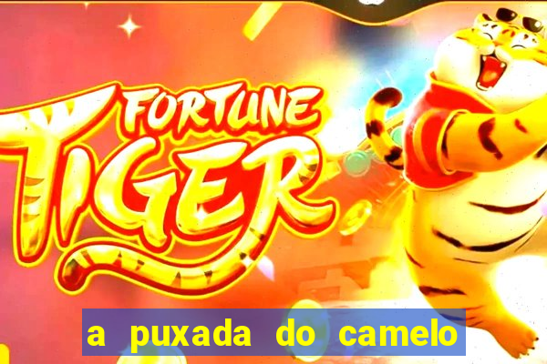 a puxada do camelo no jogo do bicho