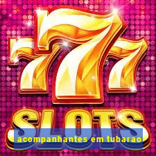 acompanhantes em tubarao