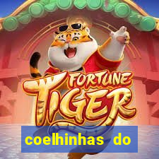 coelhinhas do brasil jp