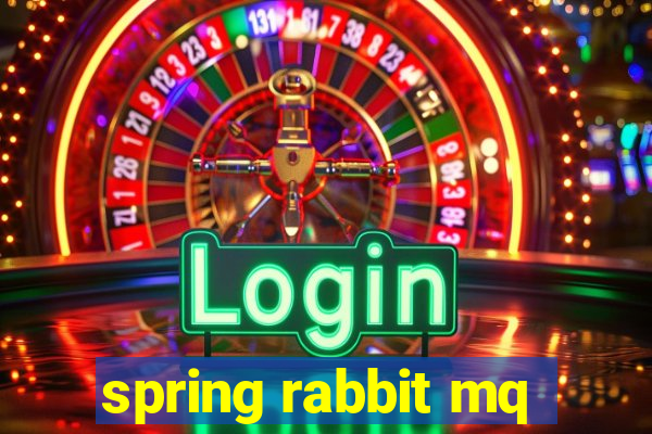 spring rabbit mq