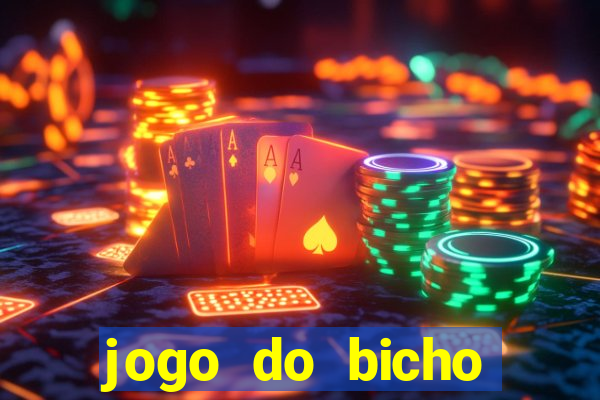 jogo do bicho crash bingo
