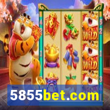 5855bet.com