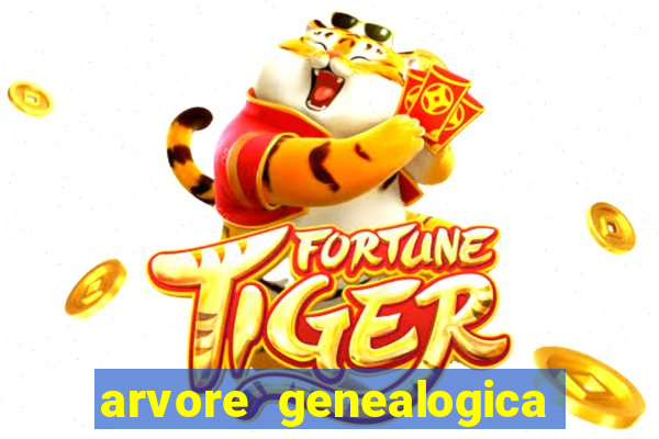 arvore genealogica dos gracie