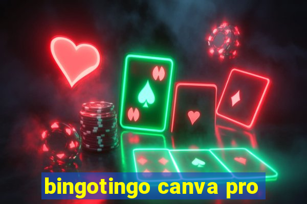 bingotingo canva pro