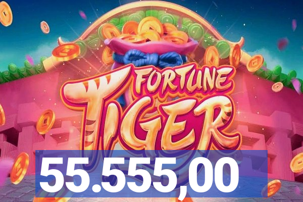55.555,00