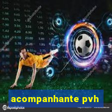 acompanhante pvh
