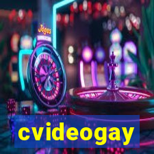 cvideogay