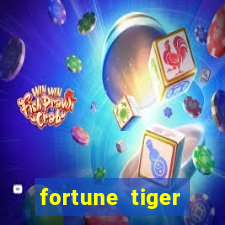 fortune tiger source code
