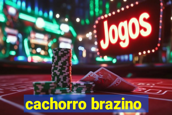 cachorro brazino