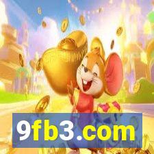9fb3.com