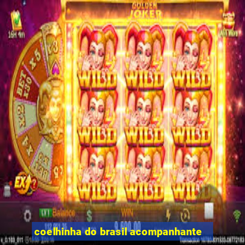 coelhinha do brasil acompanhante