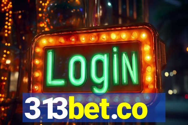 313bet.co
