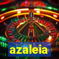 azaleia-br.com