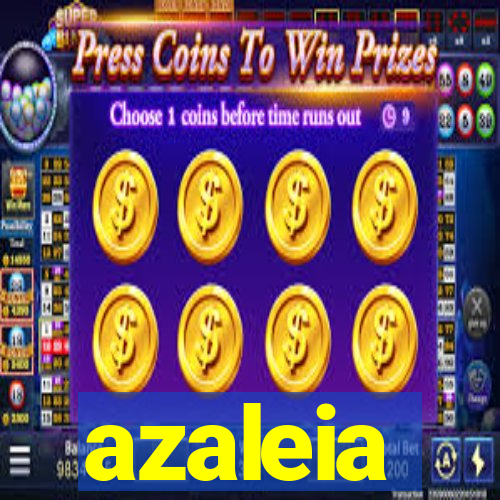 azaleia-br.com