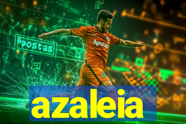 azaleia-br.com