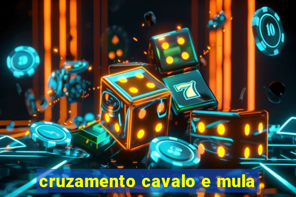 cruzamento cavalo e mula