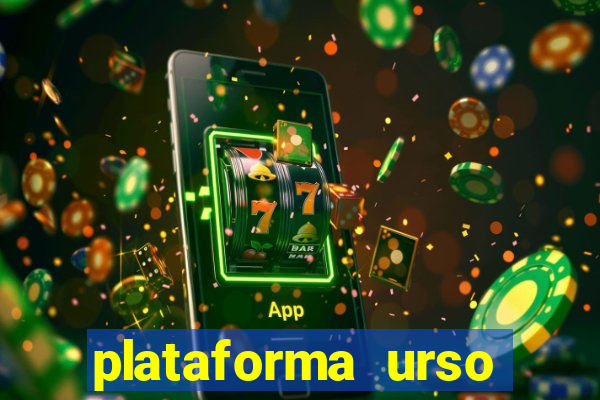 plataforma urso polar 777