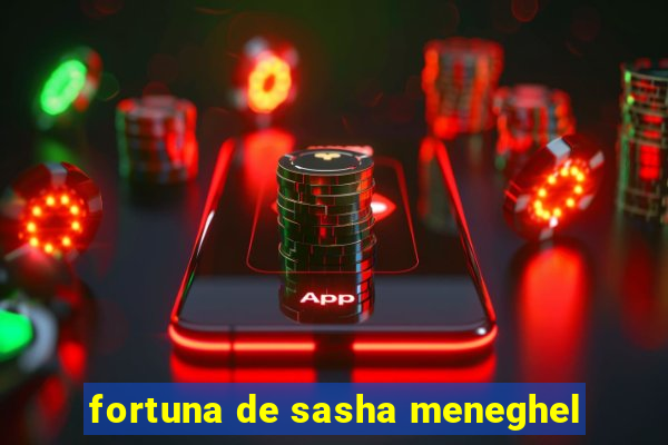 fortuna de sasha meneghel