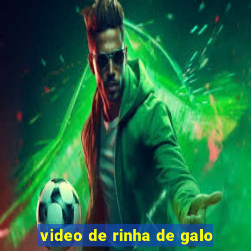 video de rinha de galo