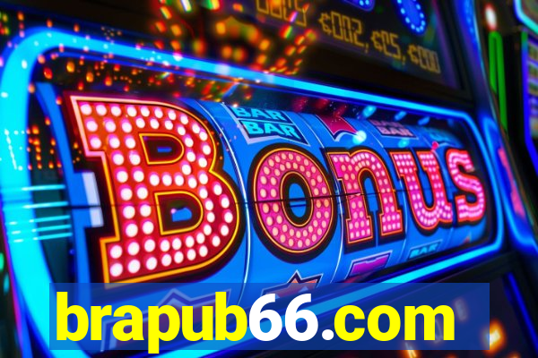 brapub66.com