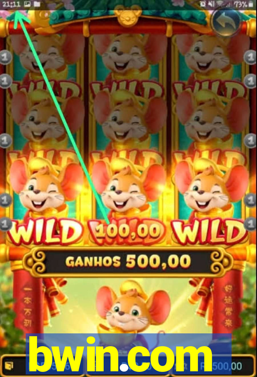 bwin.com