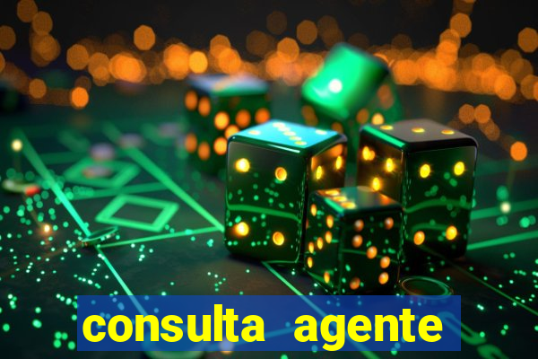 consulta agente autuador sp