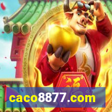 caco8877.com