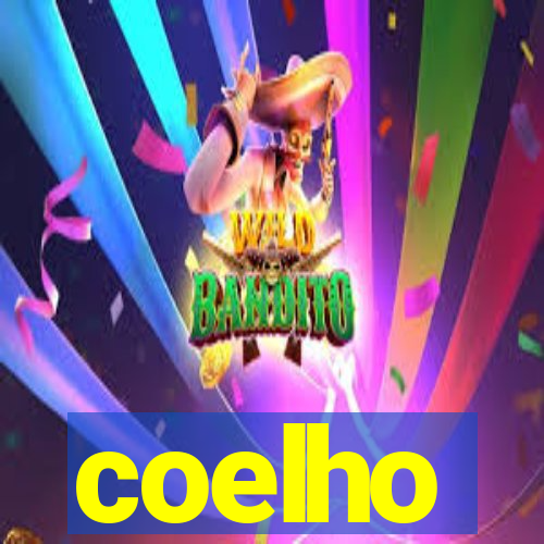 coelho-ty.com