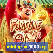 mini grua 1000kg