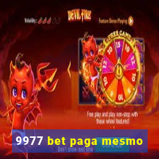 9977 bet paga mesmo