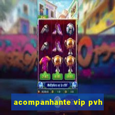 acompanhante vip pvh