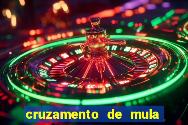 cruzamento de mula com cavalo