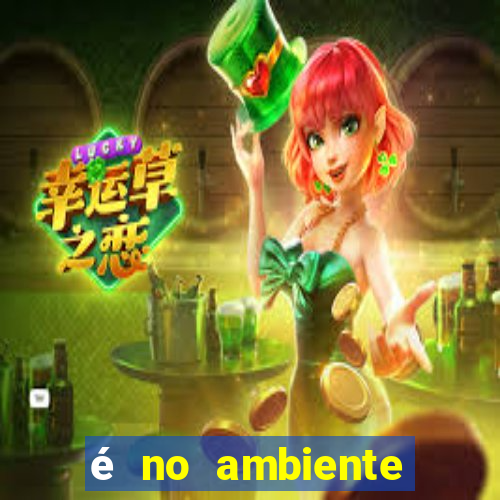 é no ambiente interno de uma empresa que se encontra