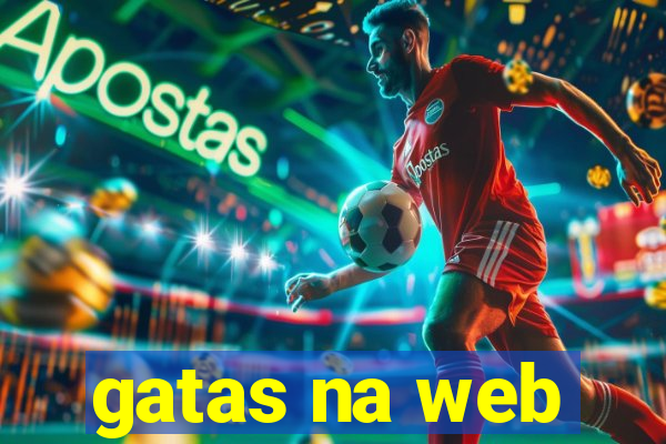 gatas na web