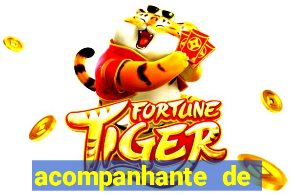 acompanhante de porto ferreira