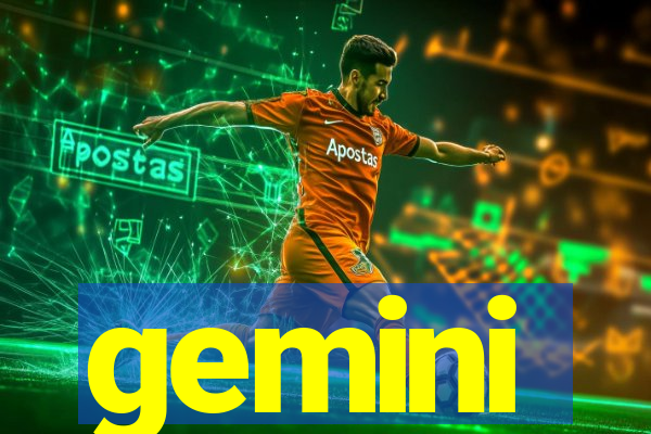 gemini-pp.com