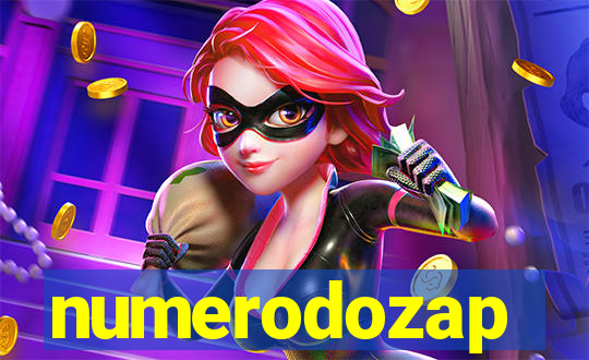 numerodozap