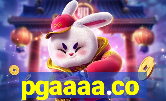 pgaaaa.co