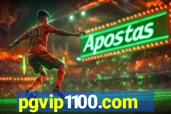 pgvip1100.com