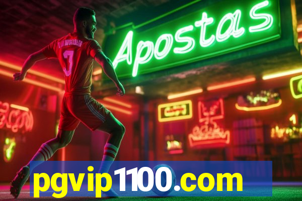 pgvip1100.com