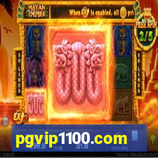 pgvip1100.com