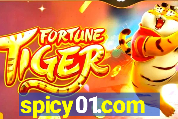 spicy01.com