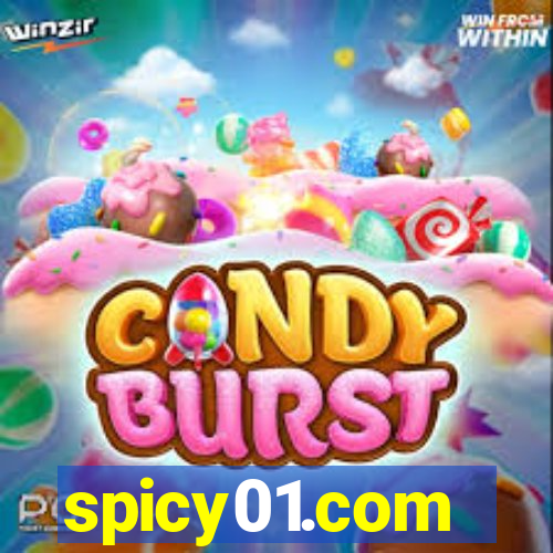 spicy01.com