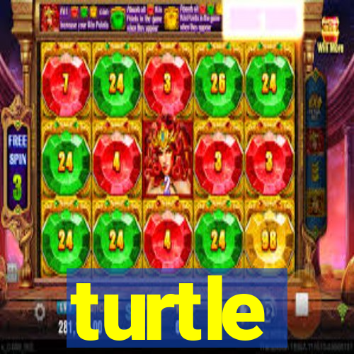 turtle-ty.com