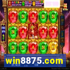 win8875.com