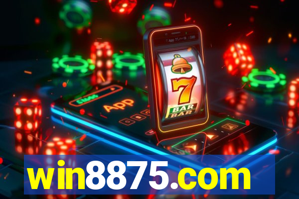 win8875.com