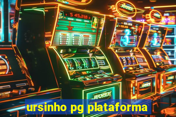 ursinho pg plataforma